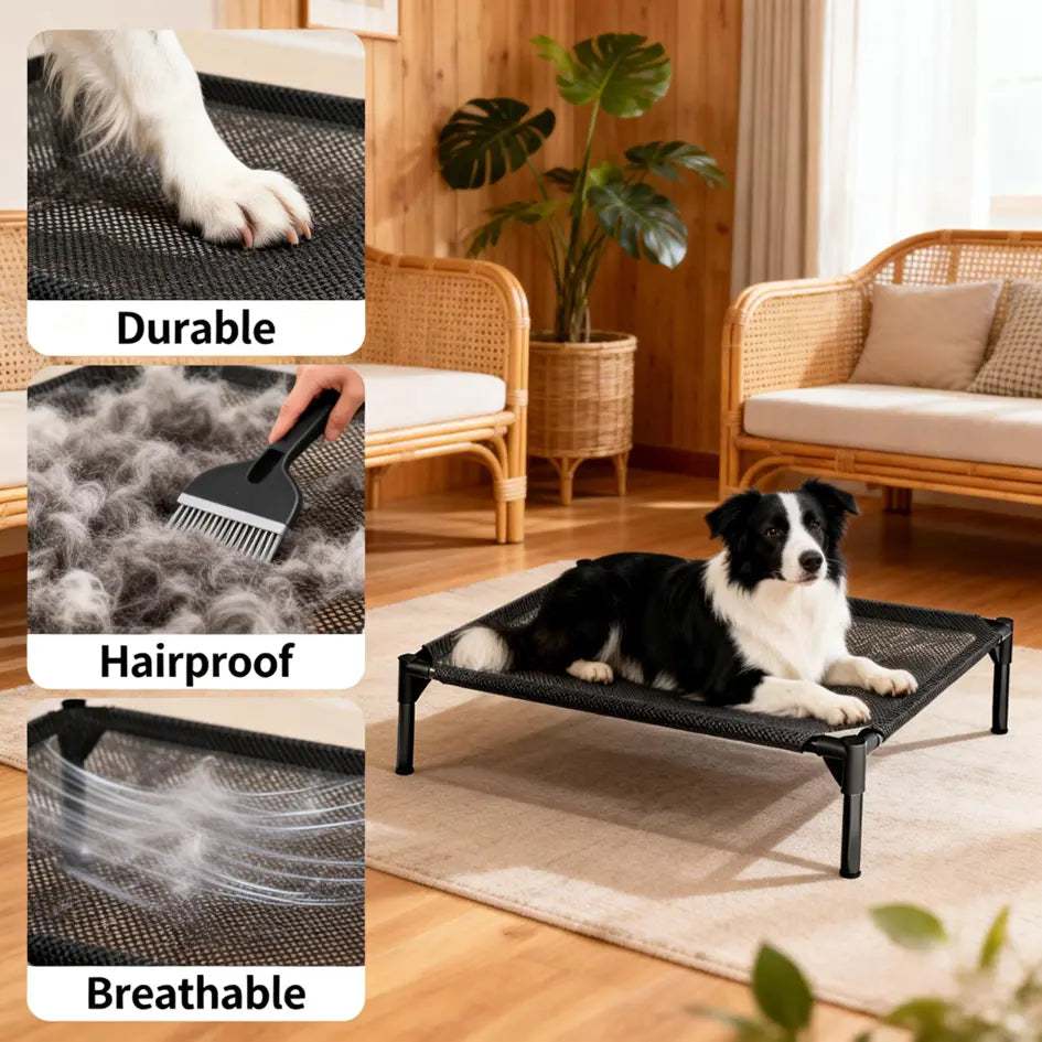 Elevated Dog Bed - Machine Washable Mesh Cot, Durable Bed for Large Dogs
