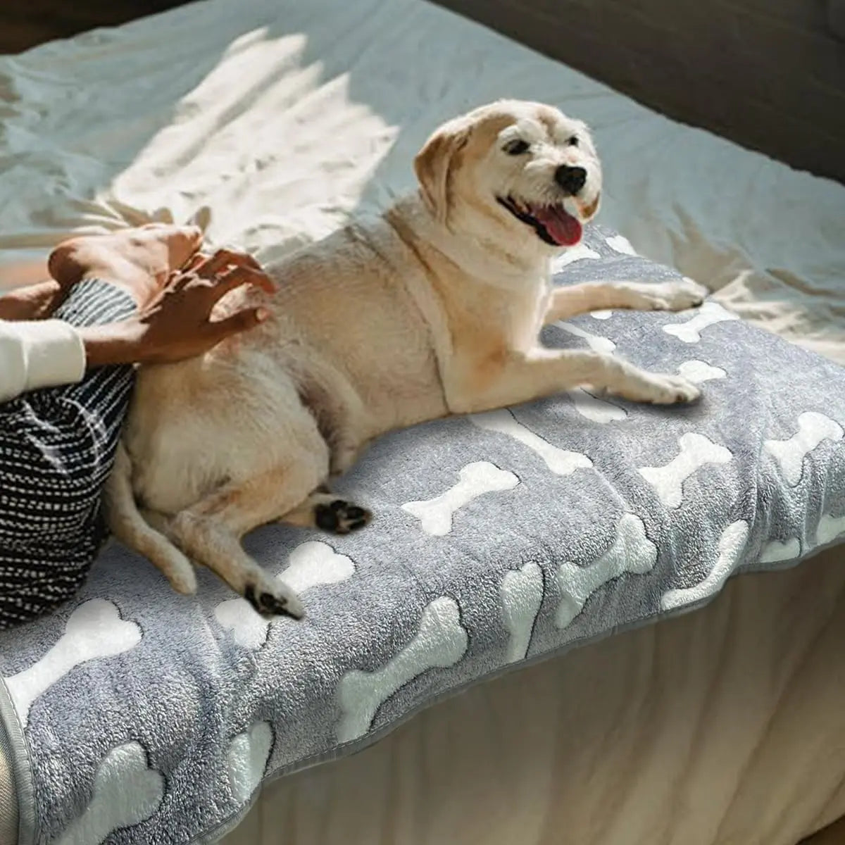 Dog Blankets for Medium Large Dogs Washable, 3 Pack Pet Blanket Washable 41" X 31", Fuzzy Soft Puppy Blanket Throw Cover for Kennel Crate Bed, Blanket for Dogs, Pet Blankets for Dogs Winter