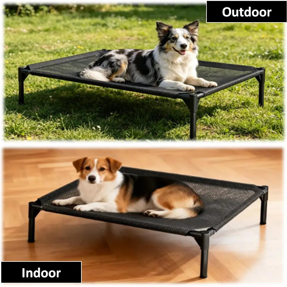 Elevated Dog Bed - Machine Washable Mesh Cot, Durable Bed for Large Dogs