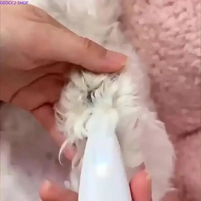 Rechargeable Pet Hair Trimmer Kit, Cordless Low-Noise Dog & Cat Grooming Clippers with LED Light, Waterproof Pet Paw Trimmer for Safe Precision Grooming & Home Pet Care