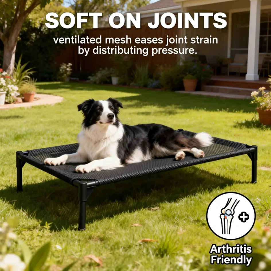 Elevated Dog Bed - Machine Washable Mesh Cot, Durable Bed for Large Dogs