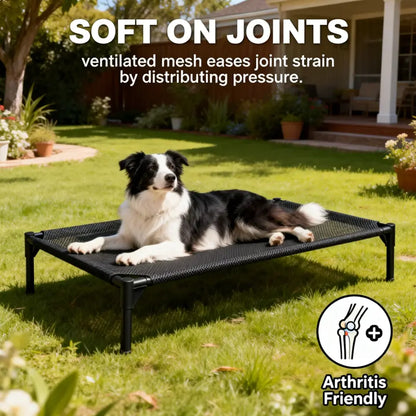 Elevated Dog Bed - Machine Washable Mesh Cot, Durable Bed for Large Dogs