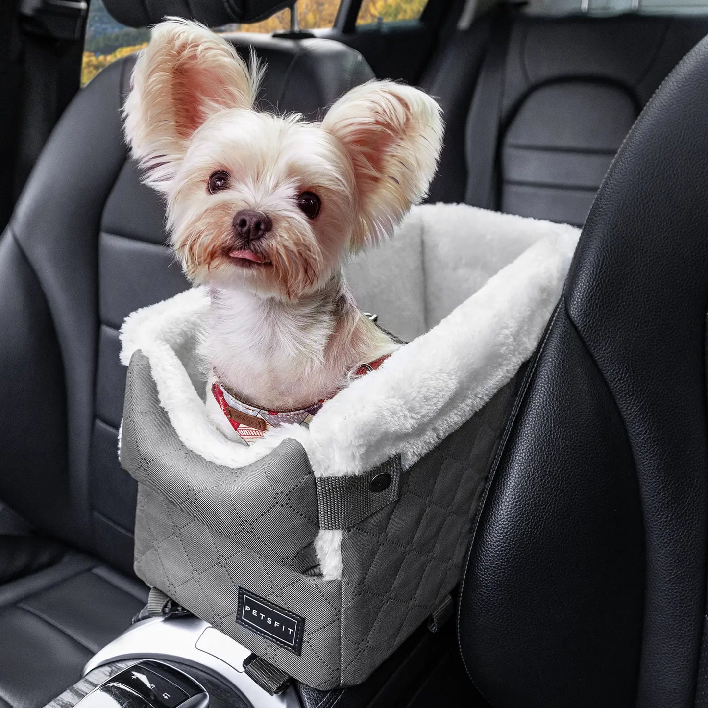 Center Console Dog Car Seat for Small Pets