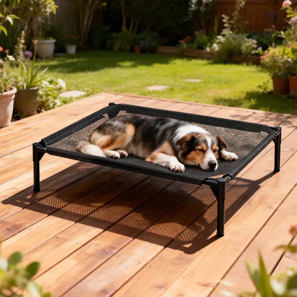 Elevated Dog Bed - Machine Washable Mesh Cot, Durable Bed for Large Dogs