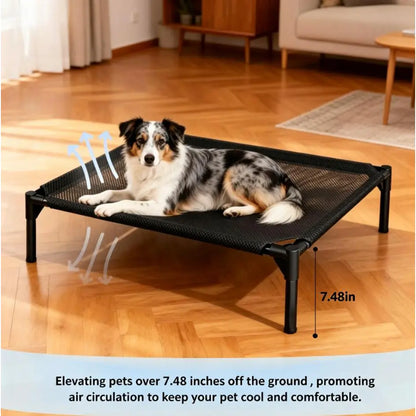 Elevated Dog Bed - Machine Washable Mesh Cot, Durable Bed for Large Dogs